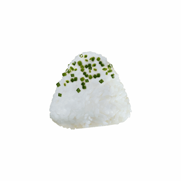 onigiri_vege_2024 ONIGIRI VEGGY